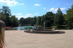 WP_20190605_11_30_34_Pro