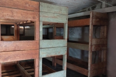 285987921_573606410781523_5961478510599433094_n