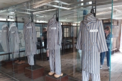 285996595_593275525307748_6960362517600913847_n