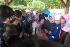 IMG_20180925_095553