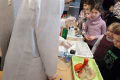 IMG-20230228-WA0011