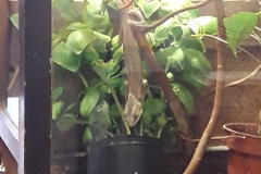 20190306_130405