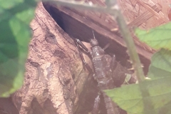 20190306_130736