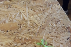 20190306_131741