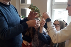 20190306_133230