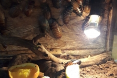 20190306_133553
