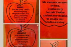 IMG-20230928-WA0016