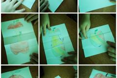 IMG-20230928-WA0029
