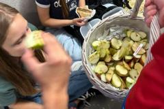 IMG-20230928-WA0050