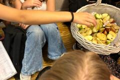 IMG-20230928-WA0052
