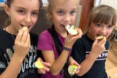 IMG-20230928-WA0062