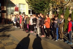 44518079_1035545743274064_7868744943743795200_n