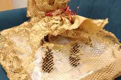 IMG-20230203-WA0013