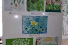 IMG-20231129-WA0026