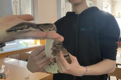 received_7275133329191067