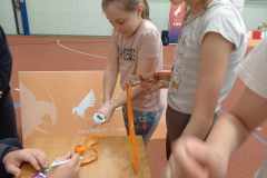 received_1156739051987328