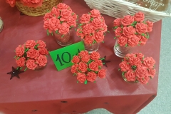 Resized_20190211_152022_8473