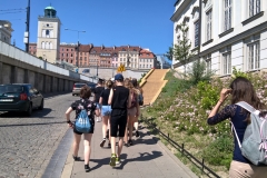 WP_20190604_10_48_19_Pro