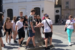 WP_20190604_11_20_14_Pro