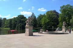 WP_20190605_11_32_49_Pro