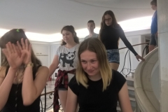 WP_20190606_10_02_26_Pro