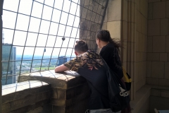 WP_20190606_13_50_56_Pro