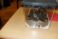 VLUU L210  / Samsung L210