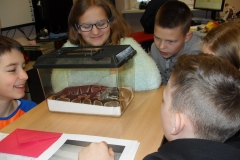 VLUU L210  / Samsung L210