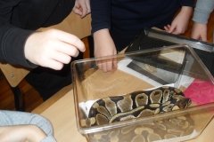 VLUU L210  / Samsung L210