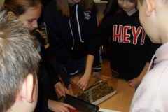 VLUU L210  / Samsung L210