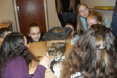 VLUU L210  / Samsung L210