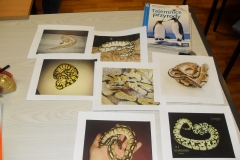 VLUU L210  / Samsung L210