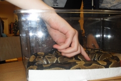 VLUU L210  / Samsung L210