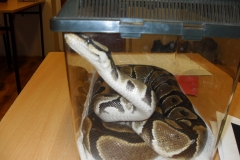 VLUU L210  / Samsung L210