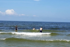 35517478_1840661612620602_1448539825803100160_n