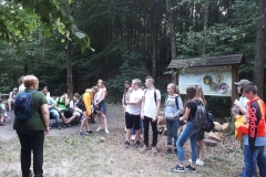 35545475_1840655252621238_828607085271842816_n