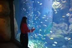 IMG_20180516_112553201_LL