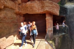 IMG_20180516_112914702_HDR