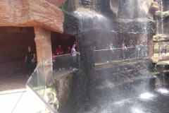 IMG_20180516_112918016_BURST000_COVER