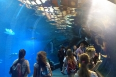 IMG_20180516_113142586