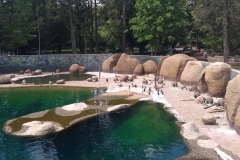 IMG_20180516_113740835