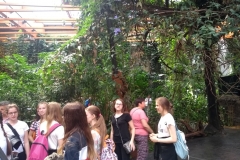 IMG_20180516_115925638