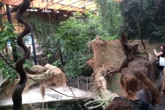 IMG_20180516_120123313