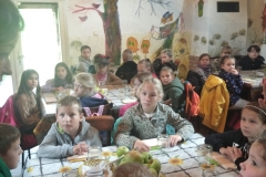 310167584_1067979197196093_8157353847211860577_n