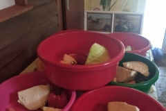 310417104_3165452317052307_2274245554642840717_n