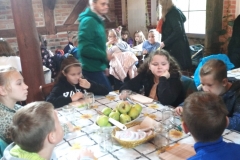 310561117_776043793628623_4509187440918651921_n