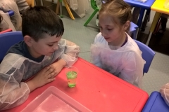 WP_20180518_11_31_24_Pro