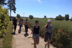 IMG_0427_1