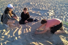 WP_20180608_20_07_35_Pro