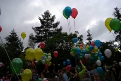 33522900_2020530528197728_8172114882045411328_n